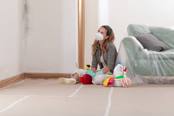 Reliable Black Mold Remediation contractor in Henderson, GA by Mold Remediation HQ